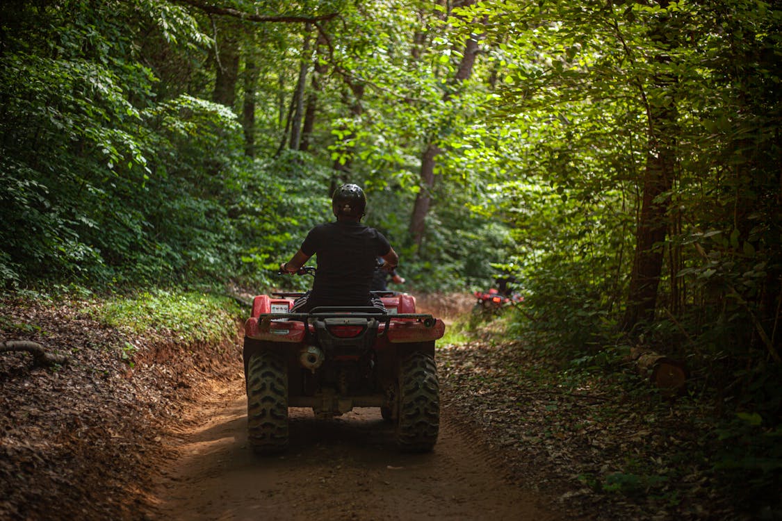 person riding ATV on trail through woods
